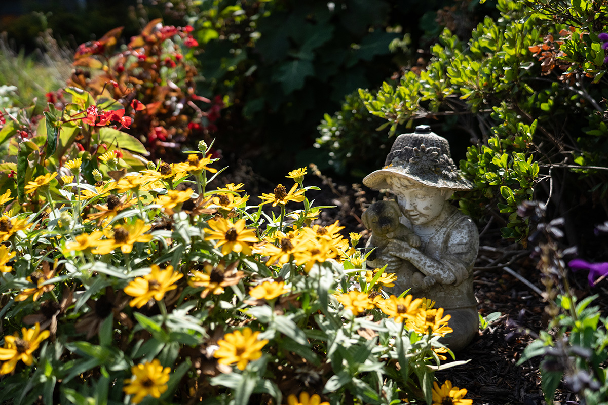 Memory Care facility garden