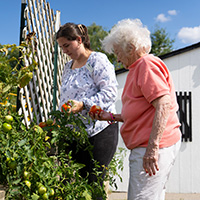 A nures helping a eldery woman with the tomatos in her garden